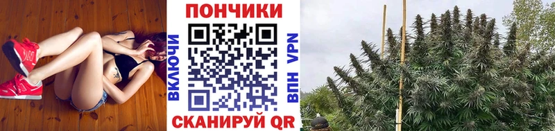 Сколько стоит Инза МАРИХУАНА  Меф мяу мяу  COCAIN  ГАШ 