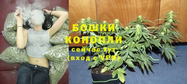 гашик Сафоново