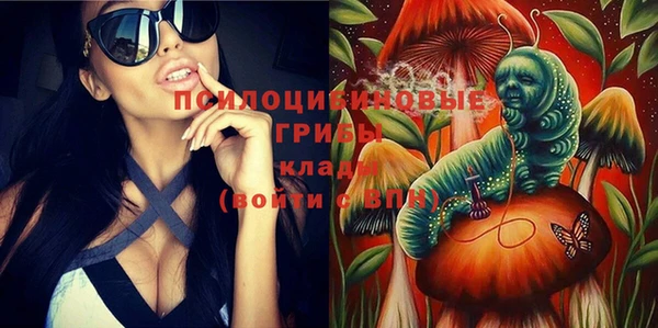 гашик Сафоново