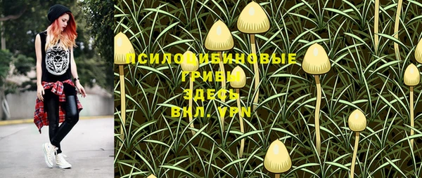 каннабис Алзамай