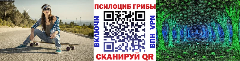 Псилоцибиновые грибы GOLDEN TEACHER Инза
